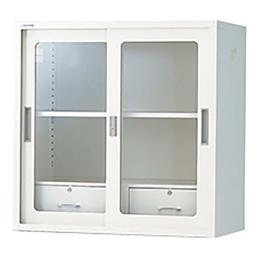 0-4381-21 Chemical-Resistant Double Sliding Storehouse Glass Door 