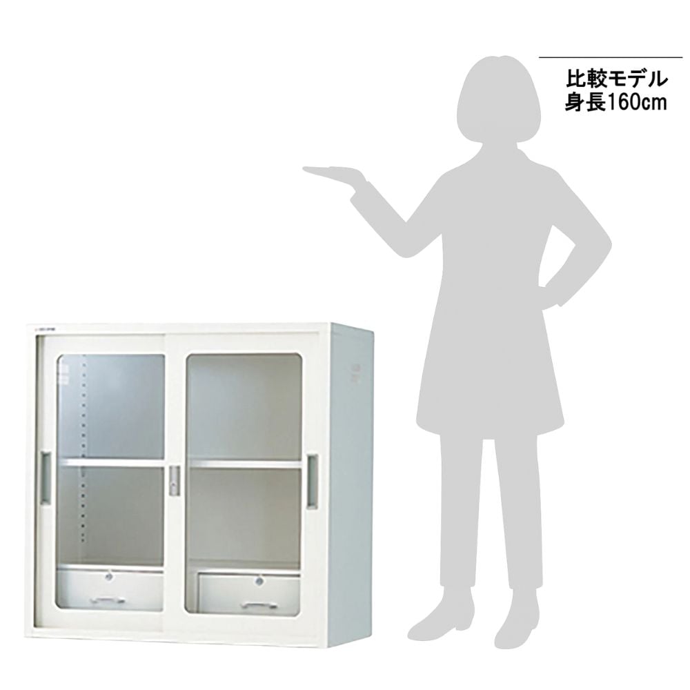 0-4381-21 耐薬引違保管庫(引出し付)ガラス戸 N-90GH・OW 【AXEL