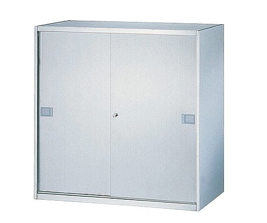 Stainless Steel Storage Sliding Door (Stainless Steel Door) 900 x 500 x 900mm SS-09S