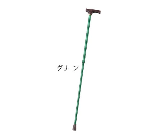 ［取扱停止］カラーステッキ　（伸縮式）　グリーン 228as1-0-5813-01