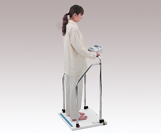取扱を終了した商品です］手すり付きバリアフリースケール［検定