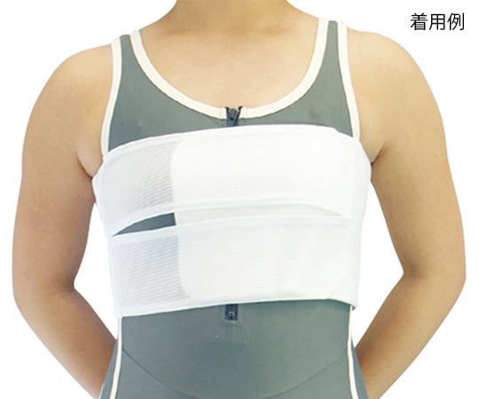 ライトバンド・ホワイト 胸・腹・腰部兼用固定帯 L