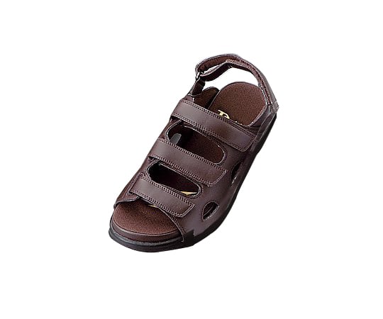 ドクターダリウス（シューズ）ブラウン LL