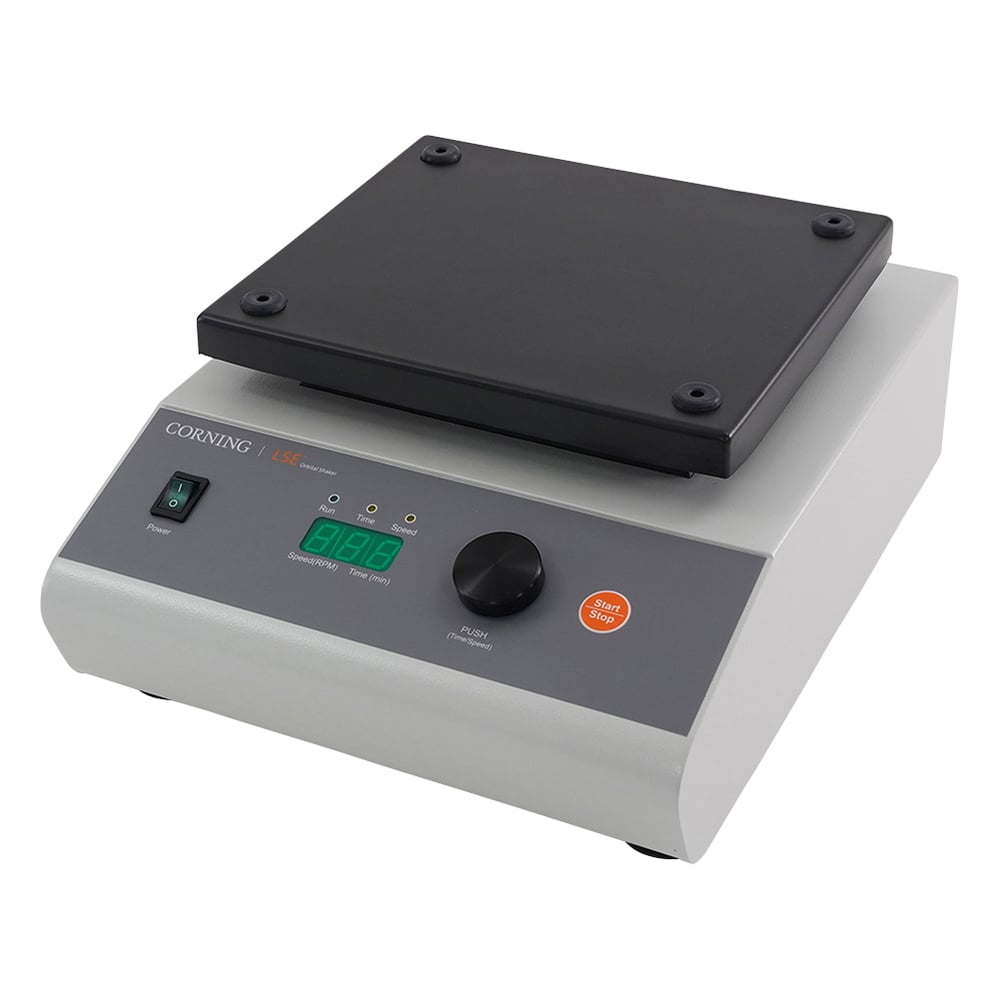マイセン　Aカンテ　特大プレート　直径24.9㎝　東さ7-0219① マイセン1997メモリアルプレート プトのサイズ：(直径) 190mm