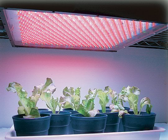 1 2337 01 Led Lighting Unit For Plant Cultivation Red Blue Isl 150x150 H4rb Sn Axel Asone