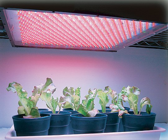 取扱を終了した商品です 植物育成用led照明ユニット 白 白 Isl 150 150 Ww Sn 1 2337 06 Axel アズワン 取扱を終了した商品です 植物育成用led照明ユニット 白 白 Isl 150 150 Ww Sn 1 2337 06 Axel アズワン