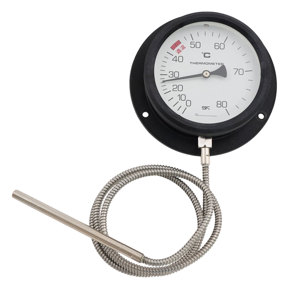 壁掛け式隔測温度計 0～80℃ VB-100P