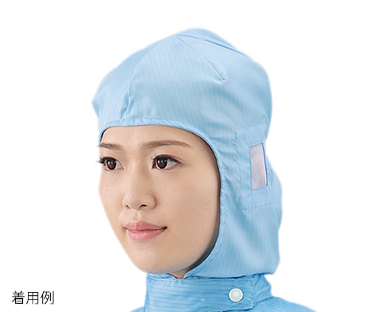 アズワン1-6365-02クリーンフードＡＳ４４９Ｃ－０２【1枚】(as1-1-6365-02)