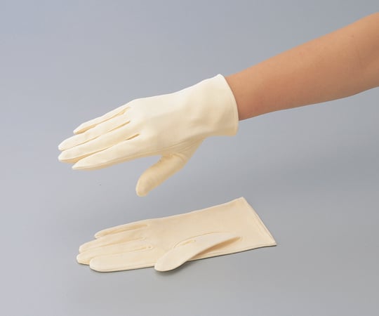 1-6482-01鹿皮手袋婦人用【1双】(as1-1-6482-01)