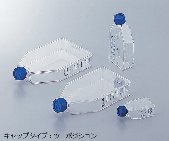 その他 BIOS7 1-7365-07 イージーフラスコ 225cm2（ツーポジションキャップ）1
