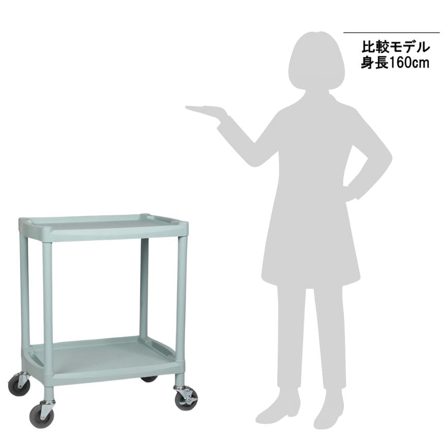 1-8544-12 プラスチックワゴン 655×455×820mm 棚2段 Y201A 【AXEL