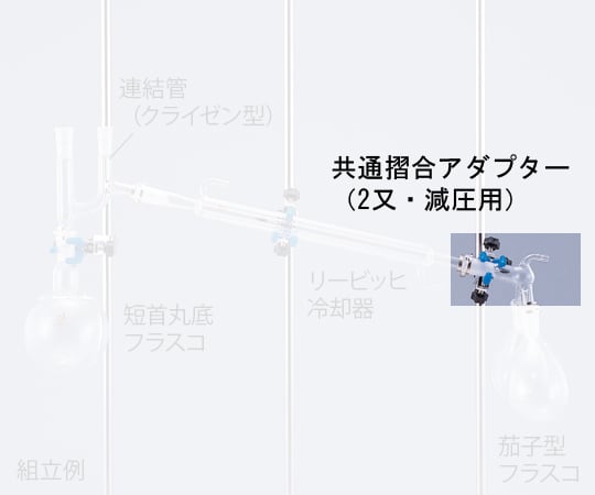 1-9949-02 常圧蒸留装置用 共通摺合アダプター（2又・減圧用） 0235-03-10