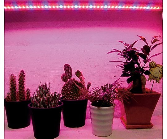 2-1410-01 植物育成ＬＥＤライト補光用ＬＥＤ