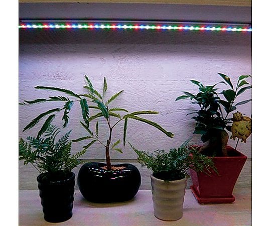 2-1410-02植物育成補光用ディスプレイ用ＬＥＤ