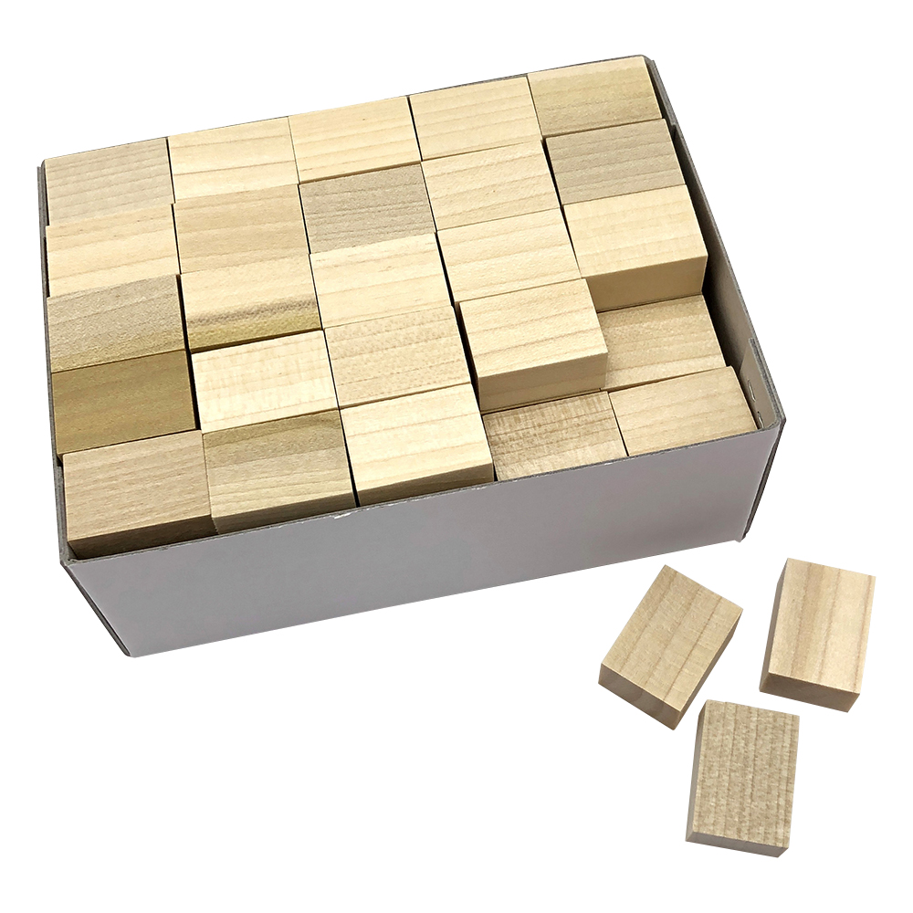 2-173-03 パラフィン用木製ブロック 100個入 小 【AXEL】 アズワン