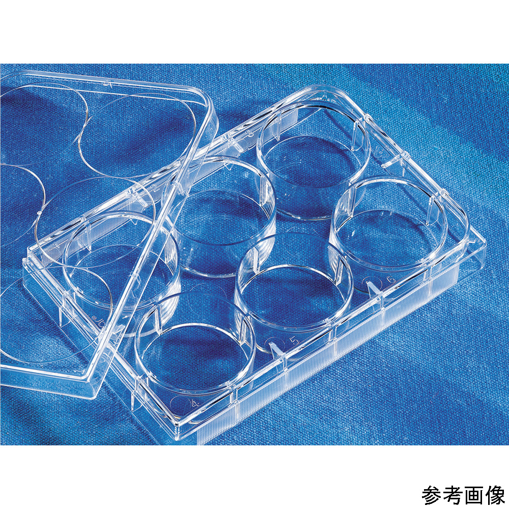公式通販| アズワン（AS ONE） 微生物培養用プレート ６穴（1-8355-01） アズワン(AS