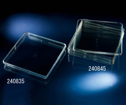 バイオアッセイディッシュ スタンダード 1ケース（4枚×4包入）