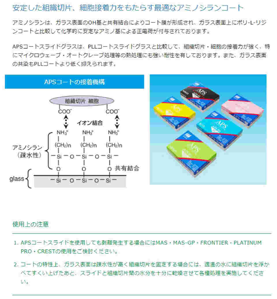 2-4000-01 シランコートスライドグラス 白縁磨フロストNo.1 100枚入