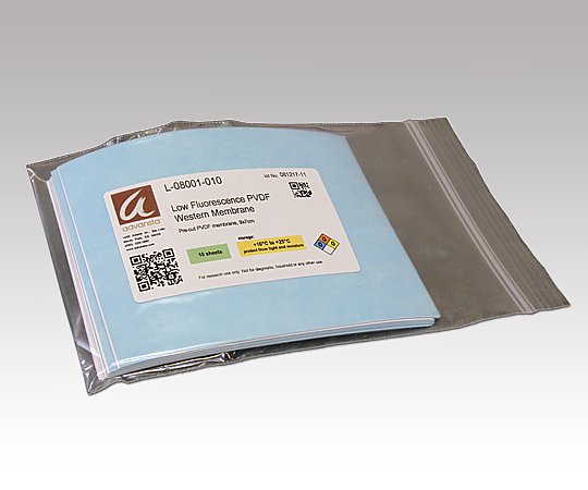 メンブレン 1セット（10枚入）