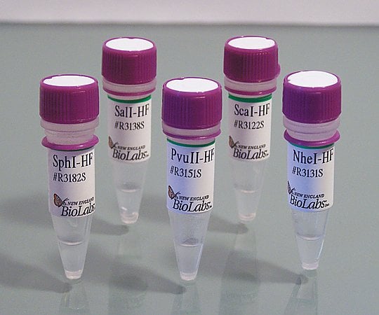【冷凍】BioLabs2-4303-19ハイフィデリティー制限酵素Ｒ３５０５Ｌ【1セット】(as1-2-4303-19)