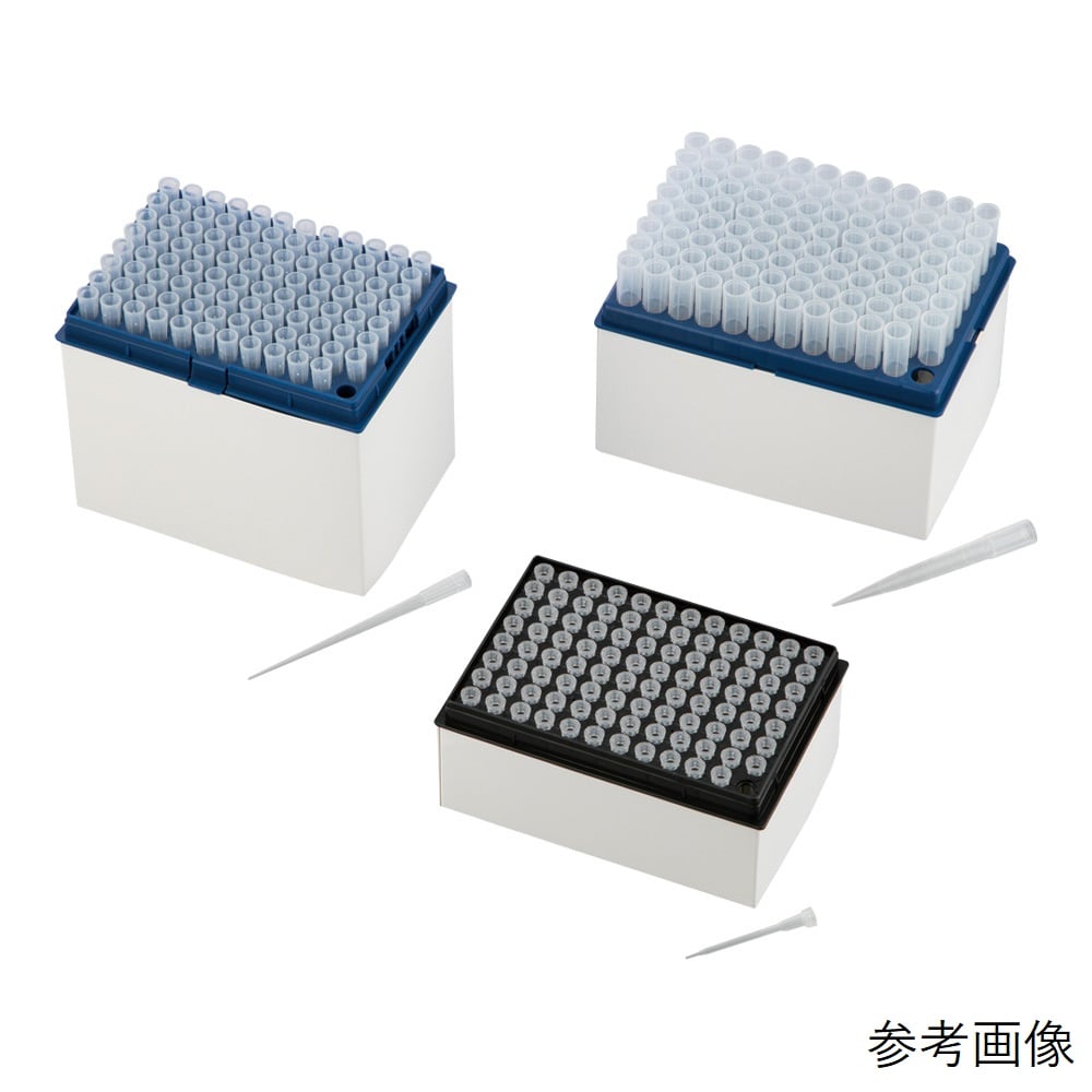スペアリブページ　セット N-18】骨付きスペアリブセット 冷凍便 贈答用 送料無料(北海道・沖縄