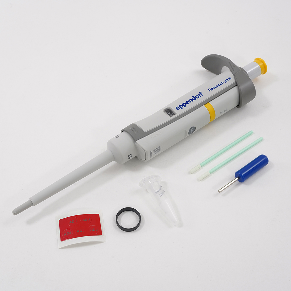 emily商品 セール】【 EMILY IN PARIS × one after another NICECLAUP 】ケーブル