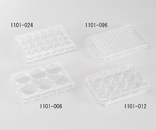 取扱を終了した商品です］細胞培養プレート 6ウェル 1101-006 2-5102