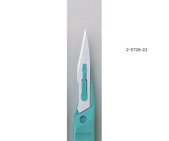 貝印（カイインダストリーズ）2-5726-22ディスポメスＮＯ．１１２０本入【1箱(20本入)】(as1-2-5726-22)