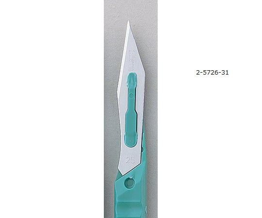 貝印（カイインダストリーズ）2-5726-31ディスポメスＮＯ．２５２０本入【1箱(20本入)】(as1-2-5726-31)