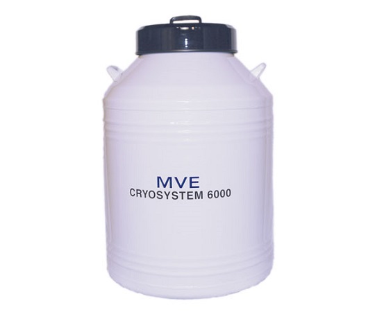 チャート 液体窒素保存容器 CryoSystem6000 MVE-10718067