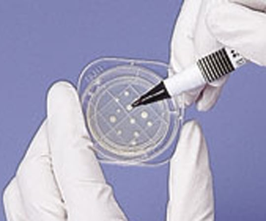 2-6430-05 ぺたんチェック(R)１０ ＴＣＢＳ寒天培地 PT2410