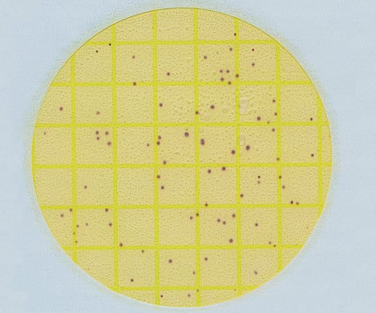 2-7438-01 ペトリフィルム(TM)培地 ＥＬプレート リステリア環境微生物測定用 ５０枚 6447EL