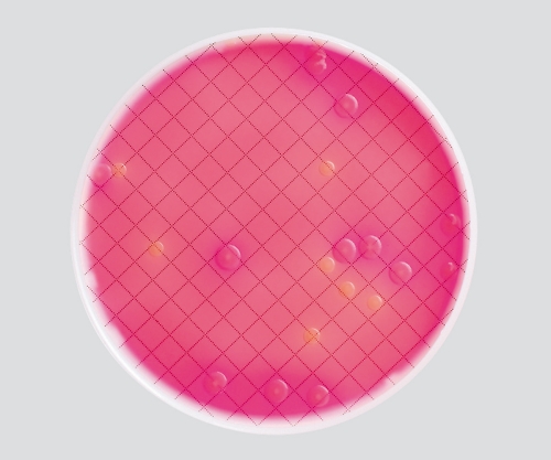 ミリフレックスプラス用培地 マッコンキー寒天培地 1箱（24個入）　MXSMCMC24