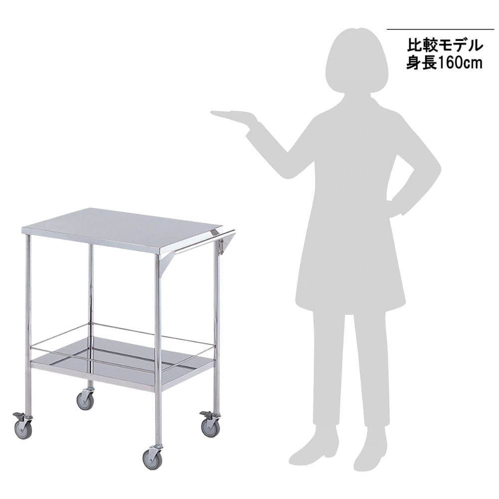 2-7680-01 SDカート 2段 M-2G-M 【AXEL】 アズワン