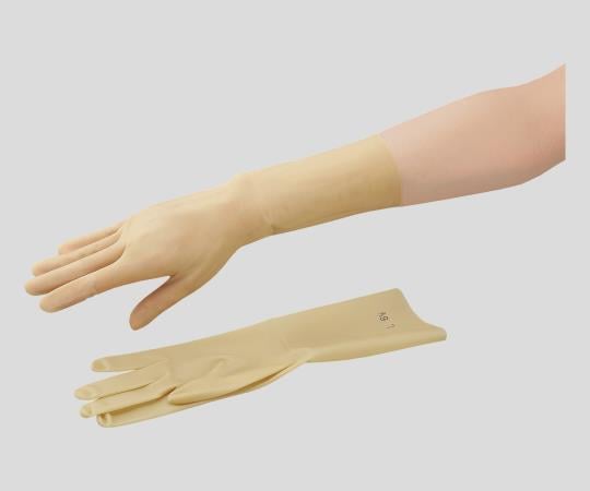 取扱を終了した商品です ラテックス手袋 7 5 2 8705 03 Axel アズワン 取扱を終了した商品です ラテックス手袋 7 5 2 8705 03 Axel アズワン