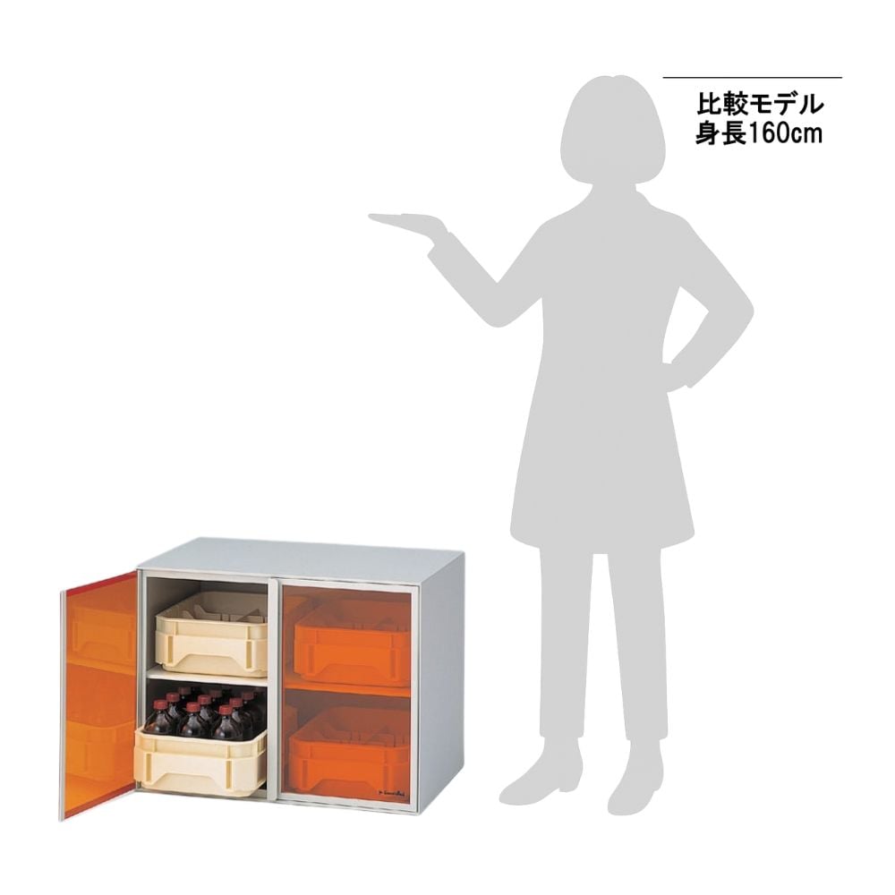 3-074-11 薬品保管庫（卓上用） SNN型 【AXEL】 アズワン