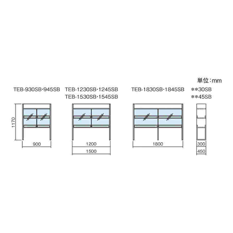 アズワン AS ONE 【代引不可】 【個人宅不可】 試薬棚 TEB-930SB 本体