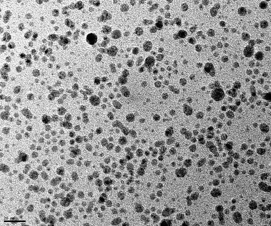 銀（Ag）粉末　TEM径10nm、平均粒径30nm　1g