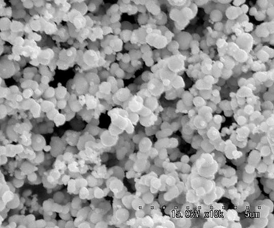 3-3052-02白金(Pt)粉末球状0.6~1.2μm【1本】(as1-3-3052-02)