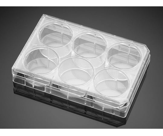 BioCoat　ポリ-D-リシン　マルチウェルプレート　6ウェル　5個/パック×1パック