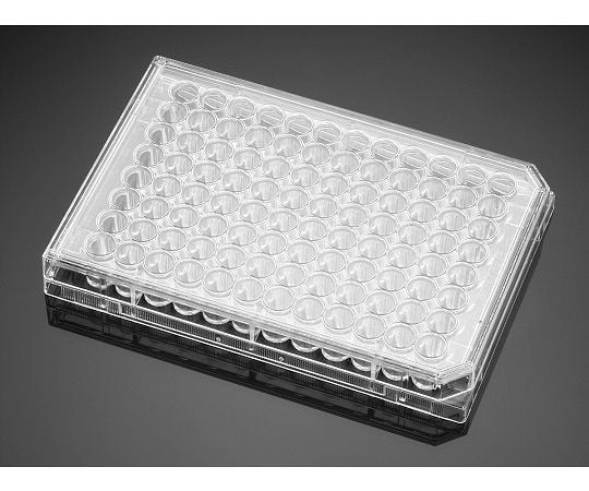 BioCoat　コラーゲンI　マルチウェルプレート　48ウェル　5個/パック×10パック