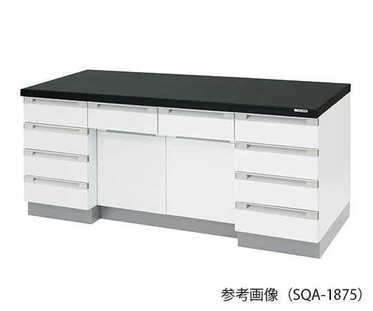 3-4186-12 サイド実験台 木製タイプ (2400×900×800mm) SQA-2490