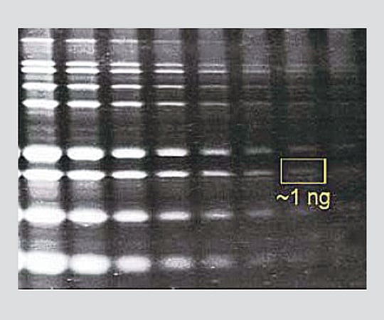 3-5177-03 DNA・タンパク質蛍光染色試薬 Nimble Juice NJ001-0010