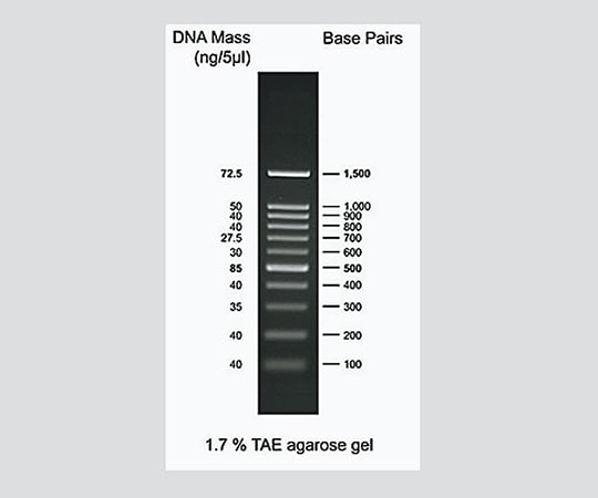 3-5216-01 DNA電気泳動マーカー 100bp DM001-R500