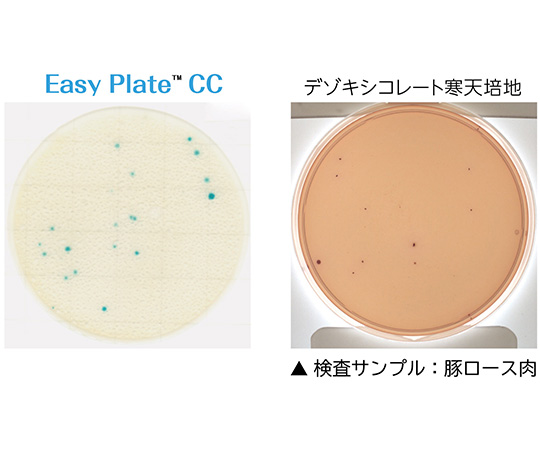 ［取扱停止］EasyPlate　 大腸菌群数測定用 (25枚/袋×4袋/箱×10箱入)　CC