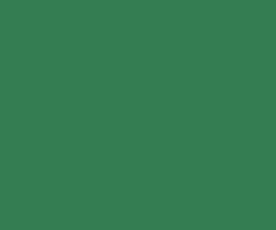 3-5481-02 すべらない塗料 グリーン