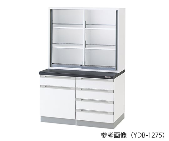 3-5767-11 薬品器具戸棚 900×400/750×1800mm YDB-975