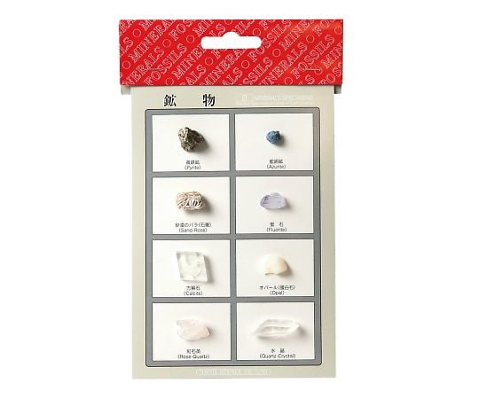 東京サイエンス3-655-02鉱物標本8種【1セット】(as1-3-655-02)