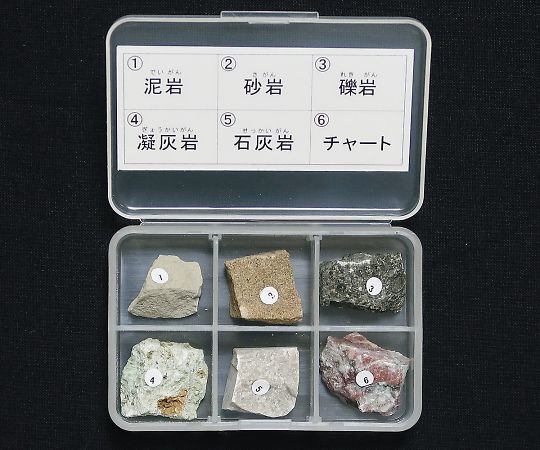 3-657-02 岩石標本（岩石標本堆積岩6種）