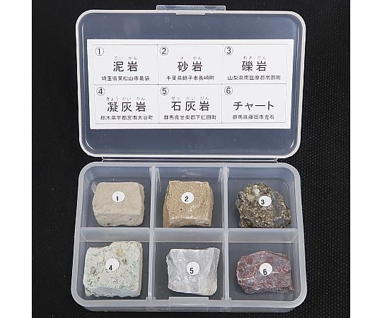 岩石標本（岩石標本堆積岩6種）